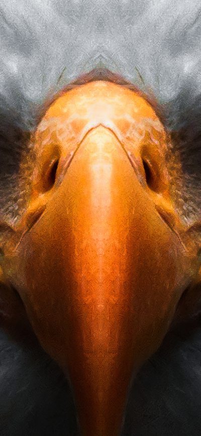 Fond d'écran iPhone Eagle Red Glowing Eyes