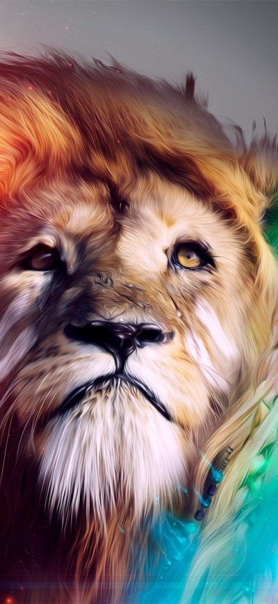 Fond d'écran iPhone Lion Abstract 4k