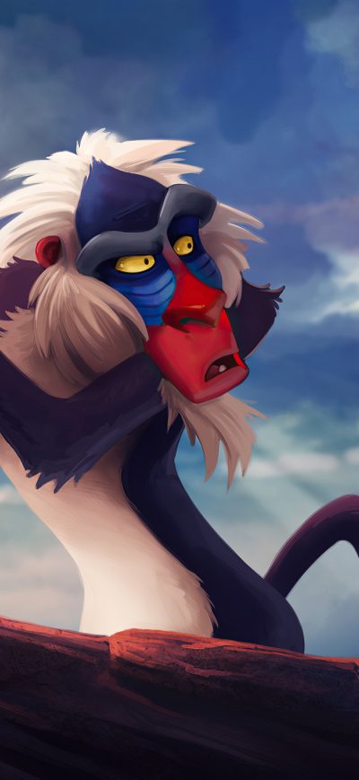 Fond d'écran iPhone The Lion King Grumpy Cat Funny