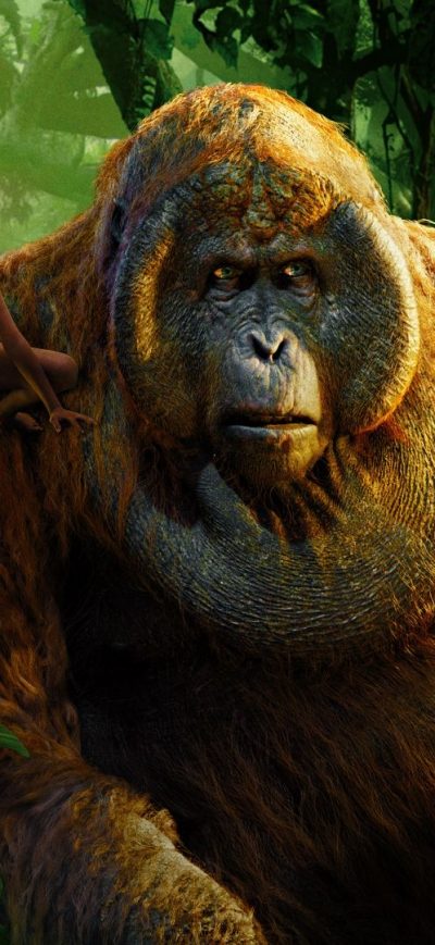 Fond d'écran iPhone The Jungle Book Movie 2016