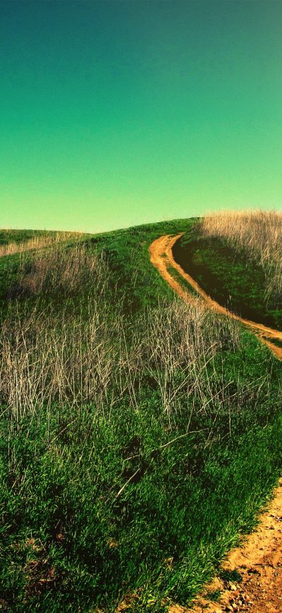 Fond d'écran iPhone Uphill Road
