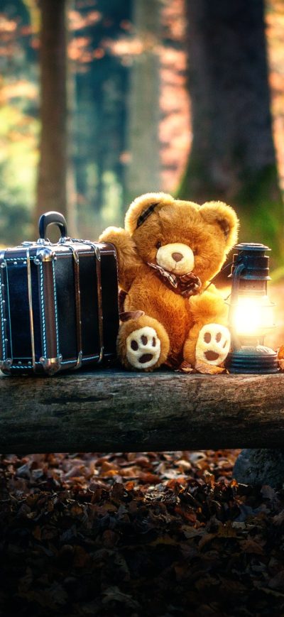 Fond d'écran iPhone Teddy Bears Cute Alone in Forest