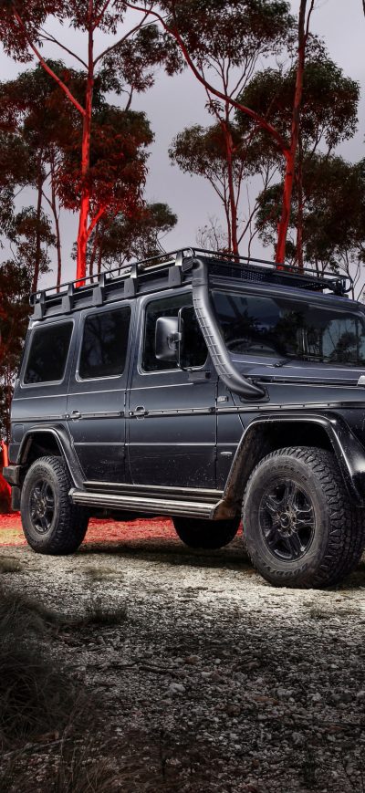 Fond d'écran Mercedes Benz G 300 CDI Professional 2017 sur iPhone