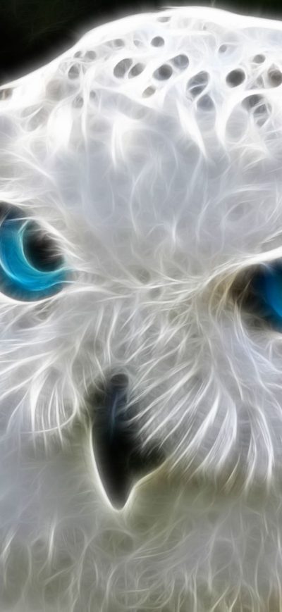 Fond d'écran iPhone Snowly Owl Art