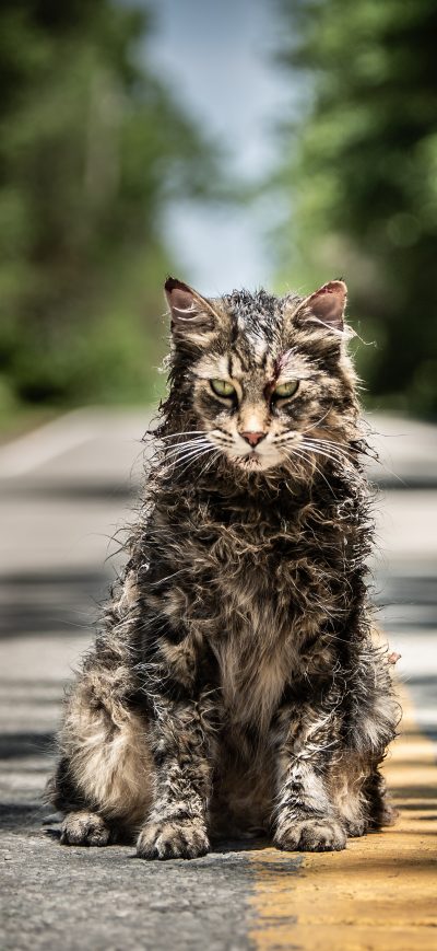 Fond d'écran iPhone Pet Sematary Movie 2019