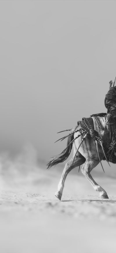 Fond d'écran iPhone Assassins Creed Odyssey Rider In Storm 4k