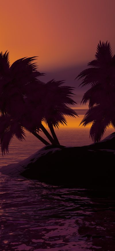 Fond d'écran iPhone Island Palm Sunset Sky