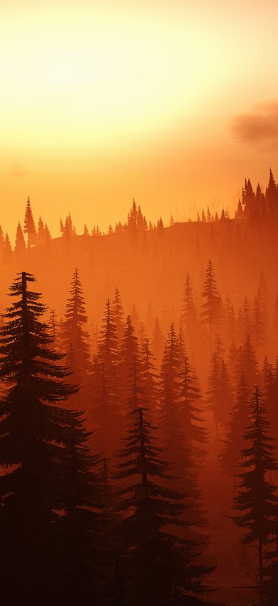 Fond d'écran iPhone Tom Clancys Ghost Recon Wildlands Nature