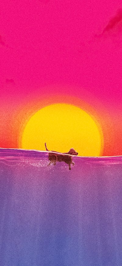 Fond d'écran iPhone The Meg Poster 4k
