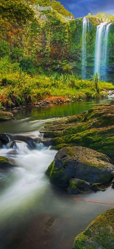 Fond d'écran iPhone A Waterfall Flowing Through A Subtropical Forest 8k