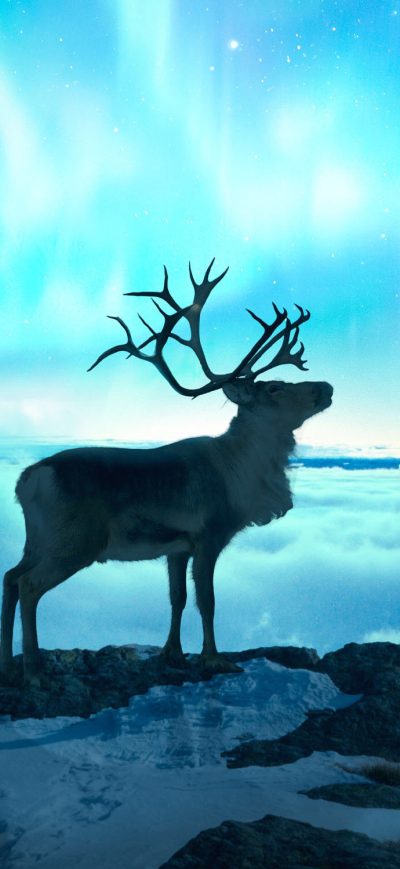Fond d'écran iPhone Reindeer Fantasy Art