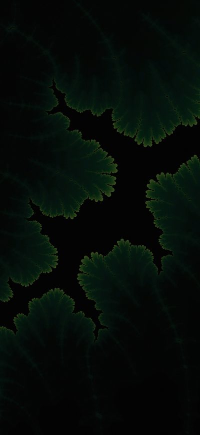 Fond d'écran iPhone Green Plants Dark Amoled