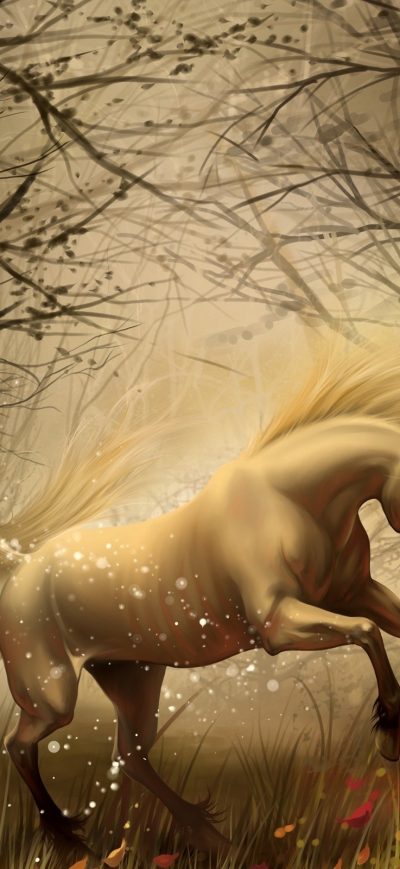 Fond d'écran iPhone Unicorn In Dreams