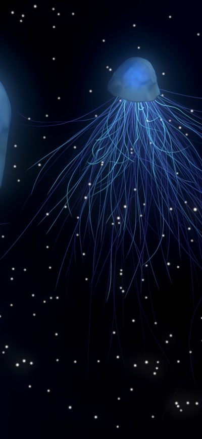 Fond d'écran iPhone Jellyfish Abstract