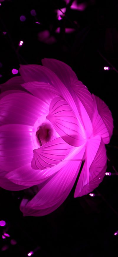 Fond d'écran iPhone Flower Shape Artistic Light