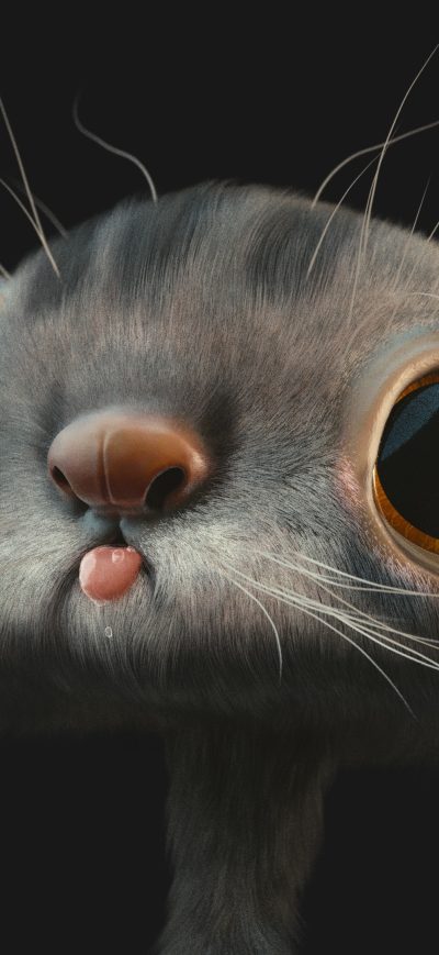 Fond d'écran 3D Cat sur iPhone