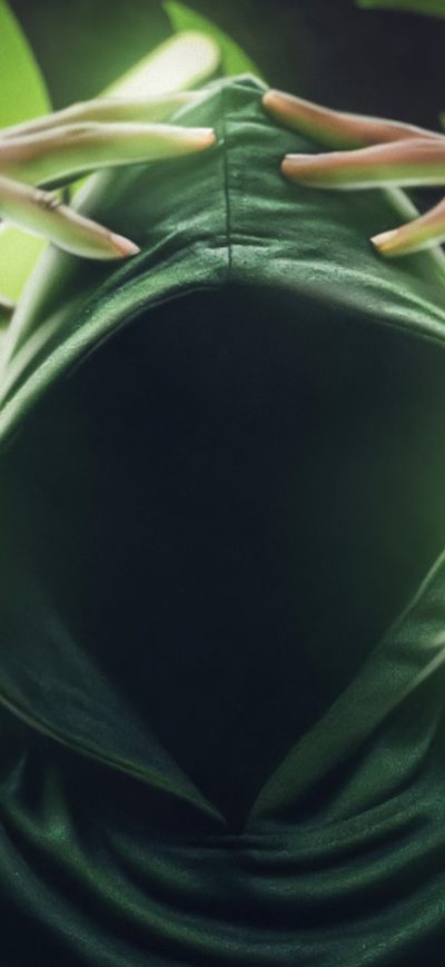 Fond d'écran iPhone Anonymus Guy Green Powers 4k