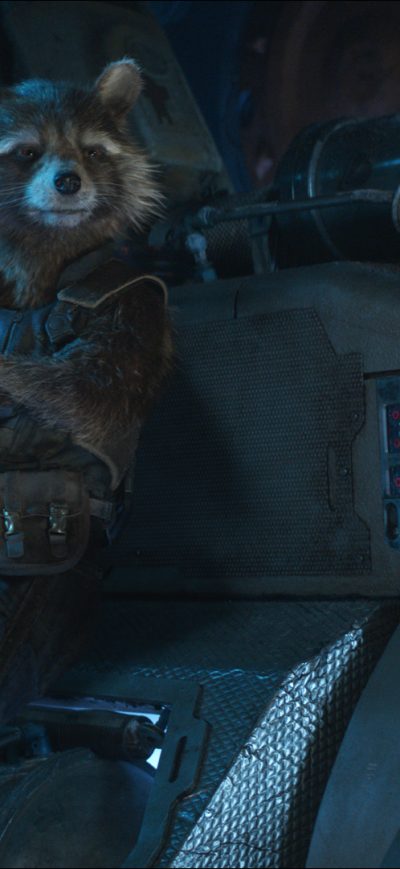 Fond d'écran iPhone Rocket Raccoon In Avengers Infinity War