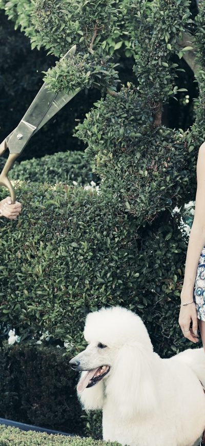 Fond d'écran iPhone Kylie And Kendall Jenner PacSun Holiday Collection 2018 Latest