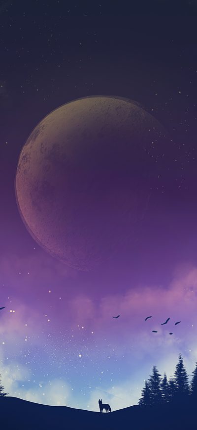 Fond d'écran iPhone Moon Fox Galaxy 4k