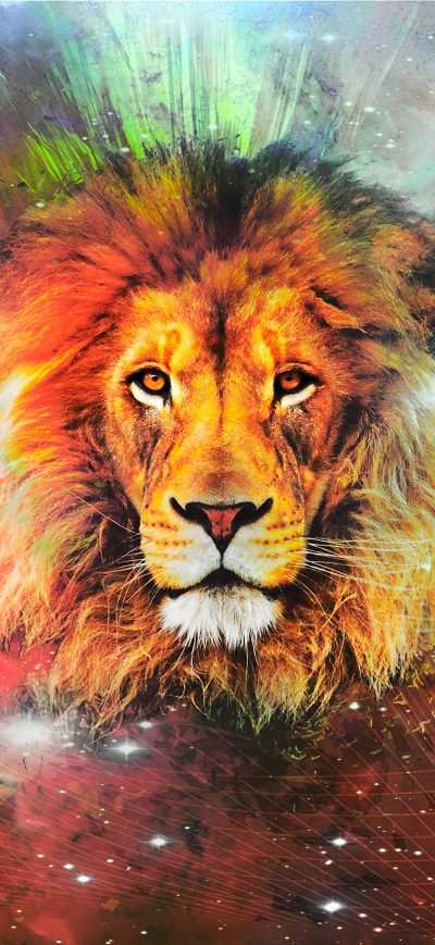 Fond d'écran iPhone Lion Galaxy Art 4k