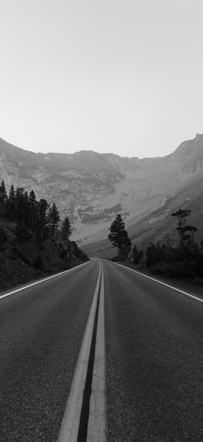 Fond d'écran iPhone Monochrome Road Trees Landscape 5k
