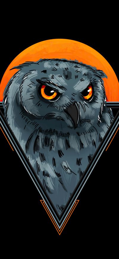 Fond d'écran iPhone Owl Minimal 4k