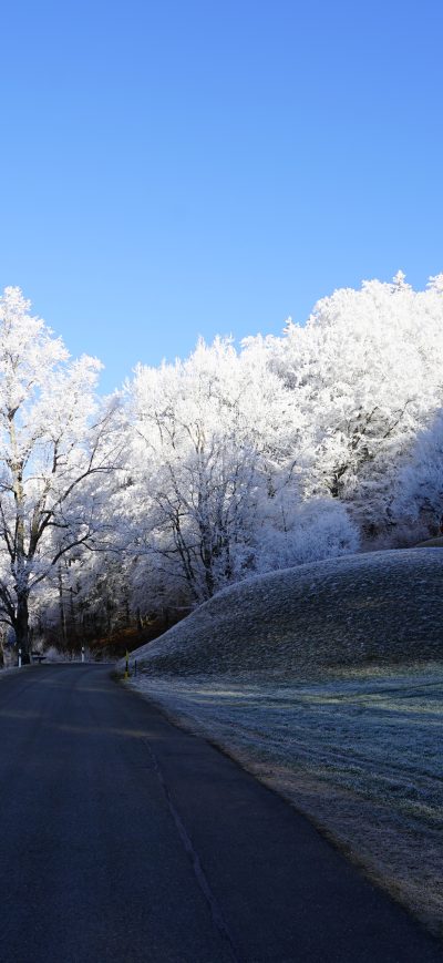 Fond d'écran iPhone Hill Frost Road Trees 8k