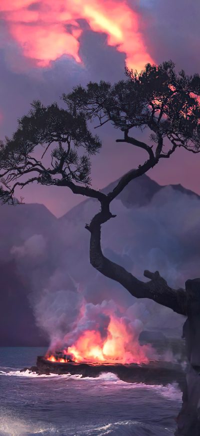 Fond d'écran iPhone Destructed Tree In Burning World 5k