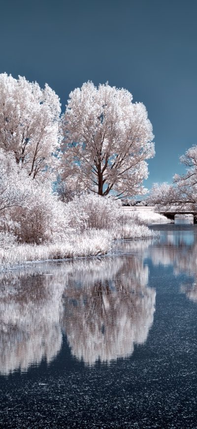 Fond d'écran iPhone Ice Lake Frozen Trees 4k