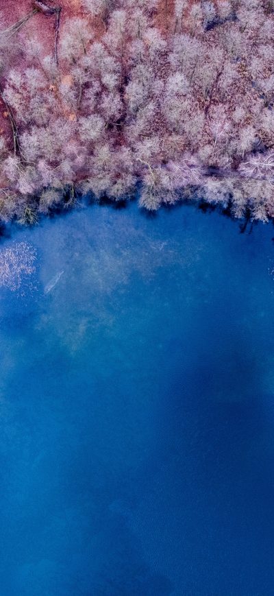Fond d'écran iPhone Nature Background Color Lake Forest Colorful