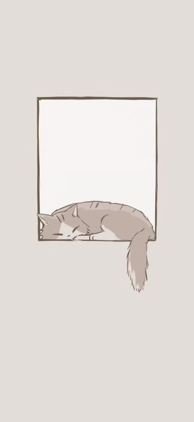 Fond d'écran iPhone Minimalist Cat Window Sleeping 4k