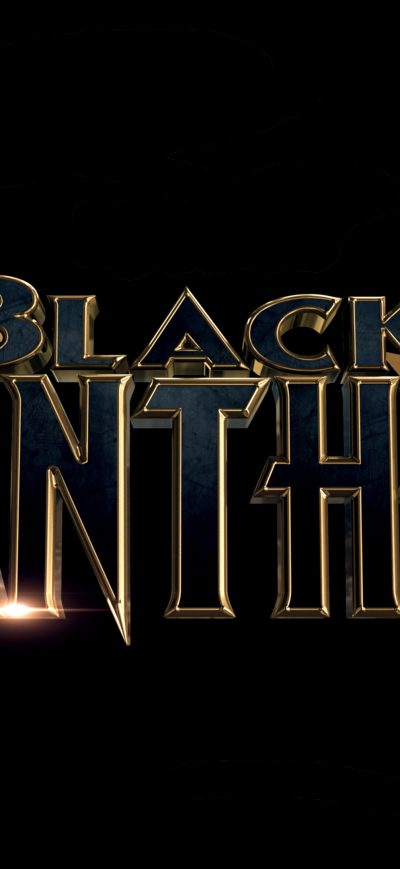 Fond d'écran iPhone Black Panther 2018 Movie