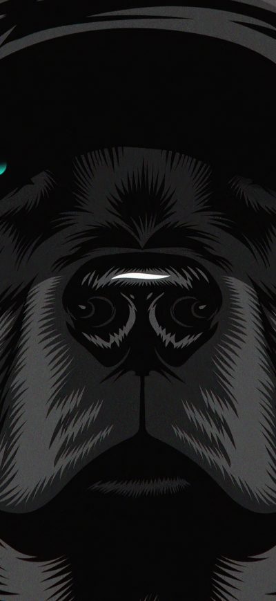 Fond d'écran iPhone Black Dog Glowing Eyes 4k