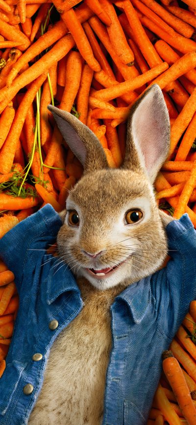 Fond d'écran iPhone Peter Rabbit 2018 4k