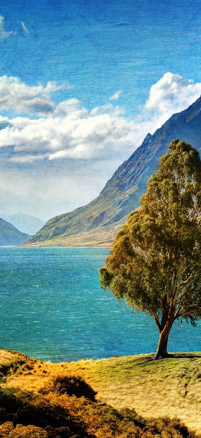 Fond d'écran iPhone Tree Mountain Glacial Lake 4k