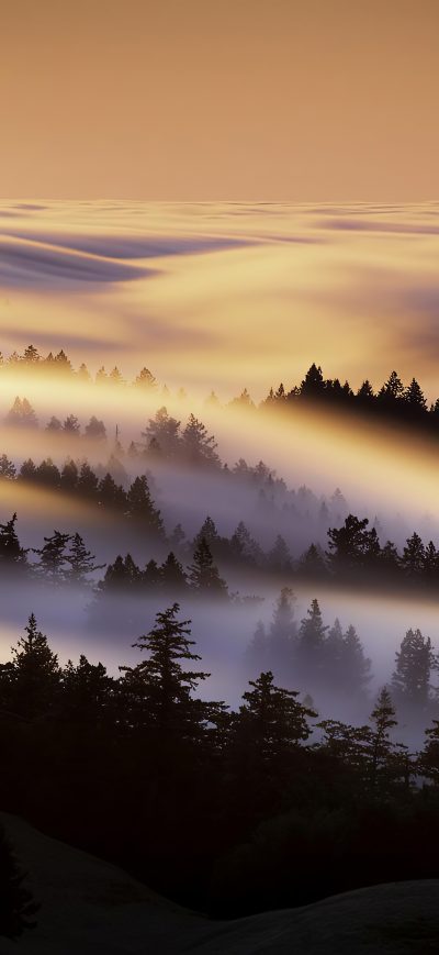 Fond d'écran iPhone Marin County Mist Morning 4k