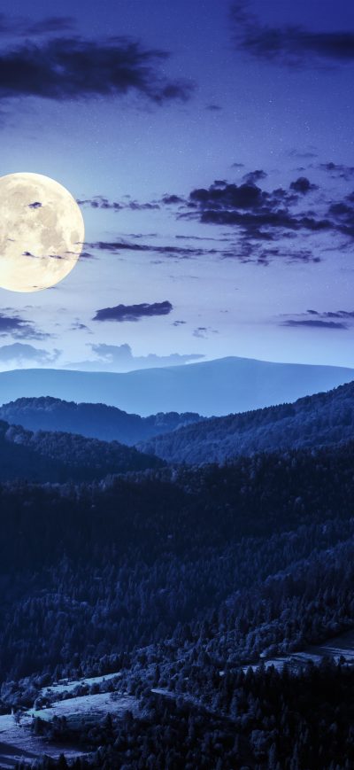 Fond d'écran iPhone Forest Night Moon Clouds 4k