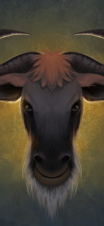 Fond d'écran iPhone Gnu Linux Wall