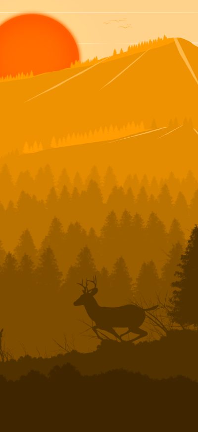 Fond d'écran iPhone Deer Forest Fox Sun Red Trees Birds 4k