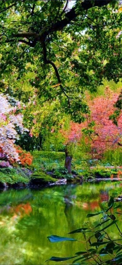 Fond d'écran iPhone Beautiful Garden Nature