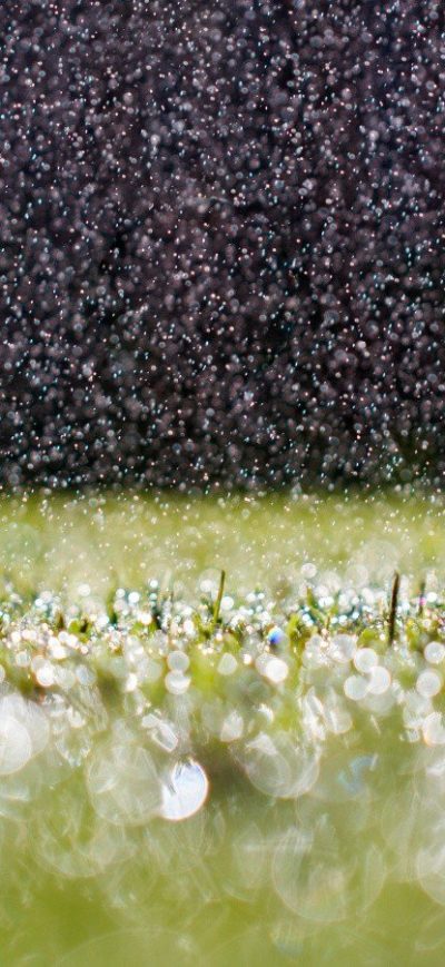 Fond d'écran iPhone RainDrops On Grass