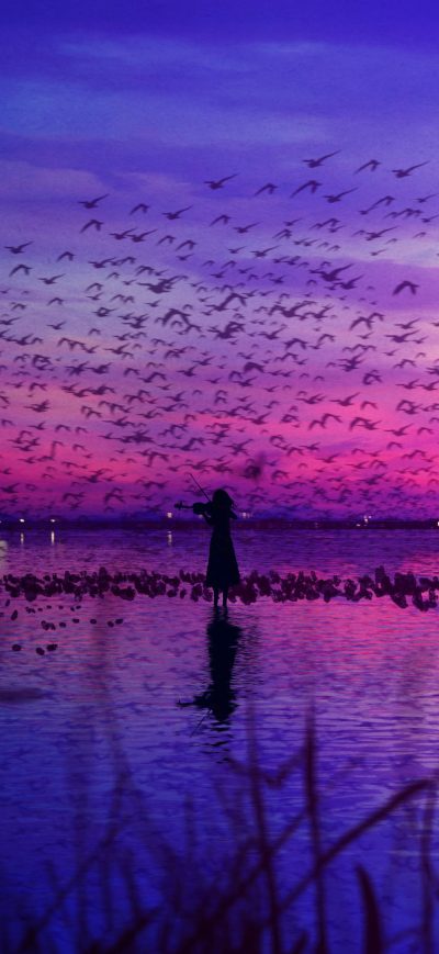 Fond d'écran iPhone Sky Is The Stage And Birds Sing