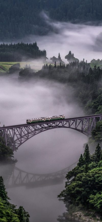 Fond d'écran iPhone Train Going Over Bridge Surrounded By Trees And River