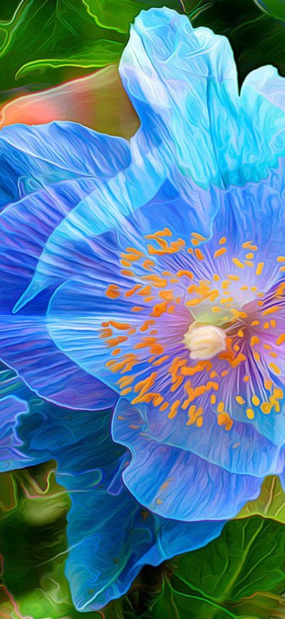 Fond d'écran iPhone Blue Flower Painting