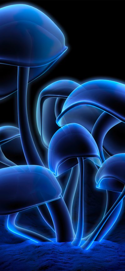 Fond d'écran iPhone Fluorescence Plants Dark 4k