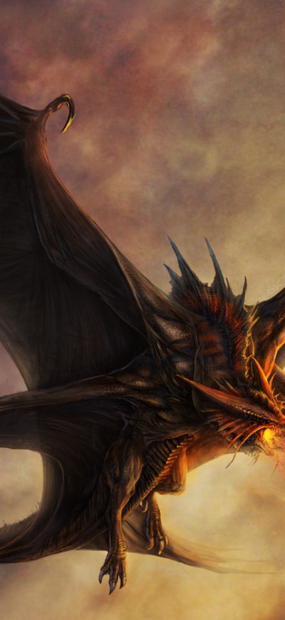 Fond d'écran iPhone Dragon Painting Artwork