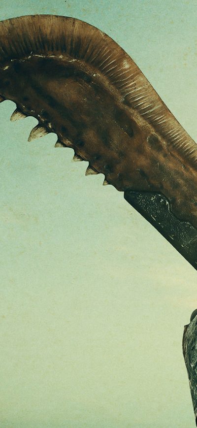 Fond d'écran iPhone Monster Hunter 2020