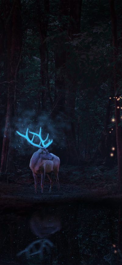 Fond d'écran iPhone Magical Reindeer In Forest