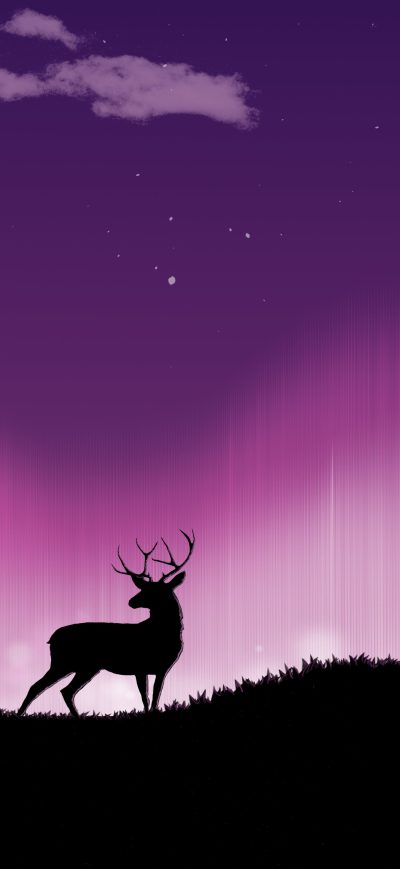 Fond d'écran iPhone Reindeer Forest Of Serenity 4k